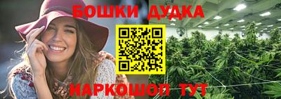 PSILOCYBIN Партизанск
