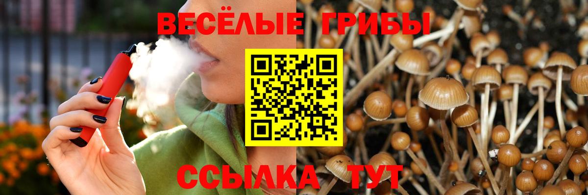 Советск  Галлюциногенные грибы Psilocybe  Вход с VPN  Псилоцибиновые грибы GOLDEN TEACHER 